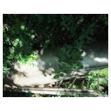 1974 Alumicraft 17ft canoe...