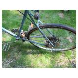 Coast King bicycle...