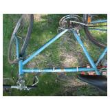 Coast King bicycle...