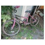 Street Machine girls bike...