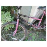 Street Machine girls bike...