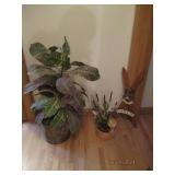 Artifical plants and decor...