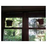 Laundry room shelf contents includi...