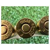 30-06 Springfield Shells