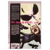 Catwoman: Wild Ride Graphic Novel