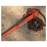 CM 3/4 Ton Manual Chain Hoist