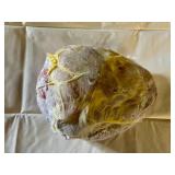K. 11.0lbs Fully Cooked Smoked Ham