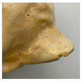 Vintage Mid Century Chalkware Cat String Holder