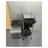 Lot of 2- Rolling Filing/Storage