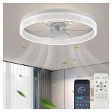 Fszdorj 20 Ceiling Fan with Light