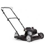 Murray 20 in. 125 cc Briggs & Stratton Walk Behind Gas Push Lawn Mower with 4 Wheel Height Adjustment and Prime 