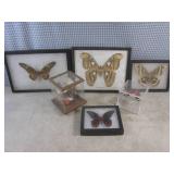 (BSB) Butterfly Collection...