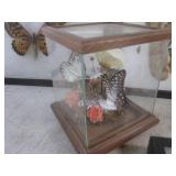 (BSB) Butterfly Collection...