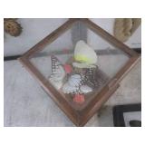 (BSB) Butterfly Collection...