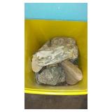 Fish Tank and Accessories. 55 Gal.