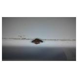 Vintage Toaster And Enamel Ware Refrigerator Box.