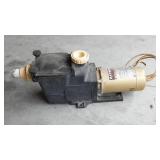 Hayward Super Pump.