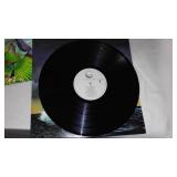 Asia Vinyl Record Albums (2)