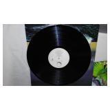 Asia Vinyl Record Albums (2)