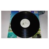 Asia Vinyl Record Albums (2)