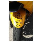 2001 Kawasaki Motorcycle ZX600J