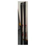 Vertigo Volkl G31 Downhill Skis.