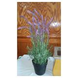 Ceramic Planter And More.