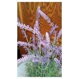 Ceramic Planter And More.