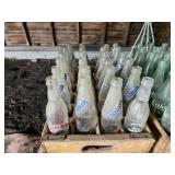 Lot of (2) Vintage Wooden Crates with Glass Pop/Soda Bottles - A&W, Coke, Sun-Rise, Sunkist (empty)