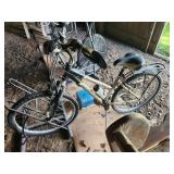 Schwinn Women