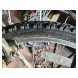 Schwinn Women