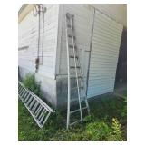 Orchard Ladder
