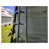Orchard Ladder