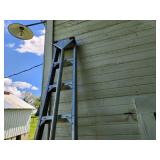Orchard Ladder