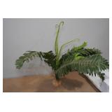 Tank Light with 6 Replacement Bulbs and Décor