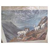 "Dall Sheep in High Country" signed...