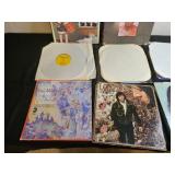 Assorted Vinyl Records Collection