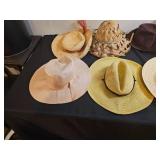 Assorted Lot of Straw and Felt Hats with Dayton