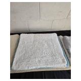 Assorted Bath Mats and Towels Lot
