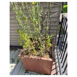 Rustic Metal Heron Wall Art & Wooden Planter Box