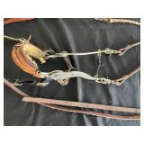 Lot of Horse Bridles and Bits