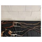 Lot of Horse Bridles and Bits