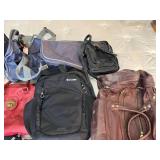 Assorted Bags and Belt Collection