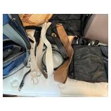 Assorted Bags and Luggage Lot