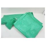 Canopy tent (K mart) with accessories (size unknown)