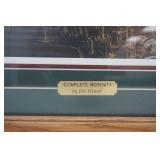 Jim Hansel Complete Tranquility framed picture