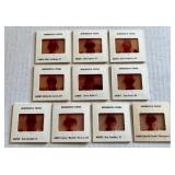 1978 Minnesota Twins Team Photo Slides Set of 10 Including Rod Carew