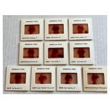 1978 Minnesota Twins Team Photo Slides Set of 10 Including Rod Carew