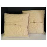 Two Delightful Accent Pillows