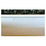 Webco Step Stool